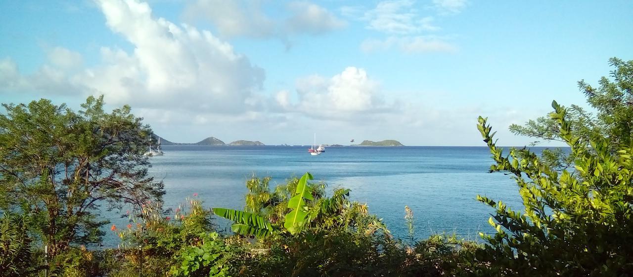 Green Roof Inn Hillsborough (Carriacou Island) Exterior foto