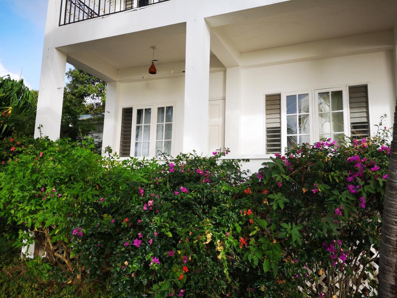 Green Roof Inn Hillsborough (Carriacou Island) Exterior foto